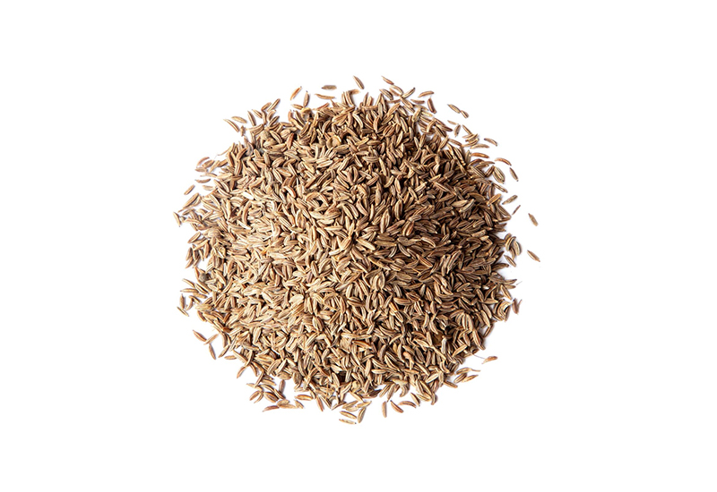 Gehiny Export Company