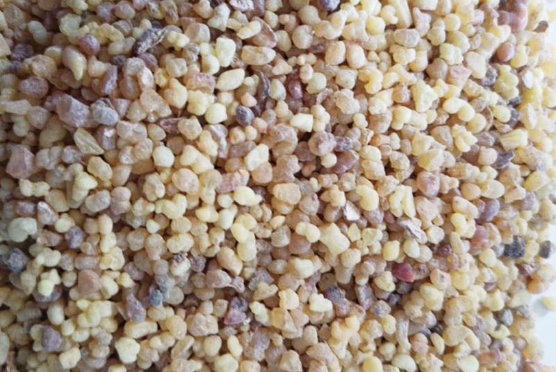 Gehiny Export Company