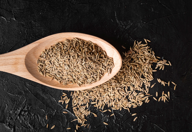 Gehiny Export Company