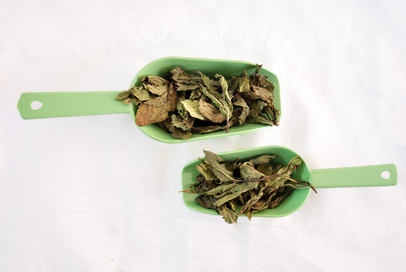 Gehiny Export Company