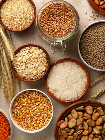 Gehniy Export Company