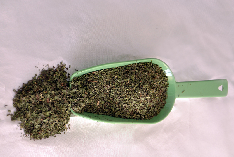 Gehiny Export Company