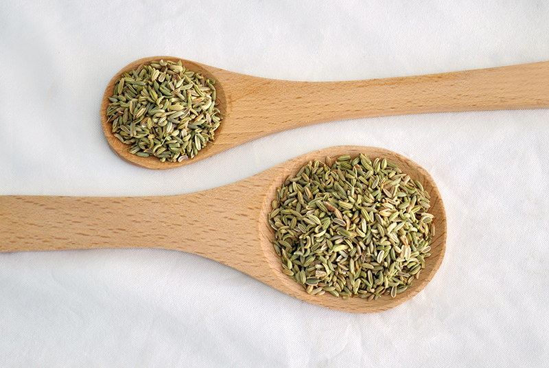 Gehiny Export Company