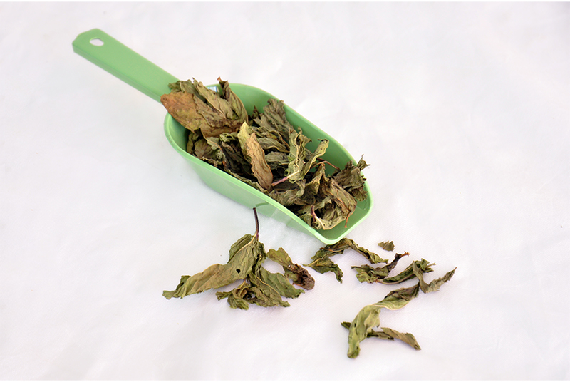 Gehiny Export Company