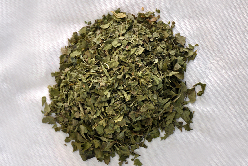 Gehiny Export Company