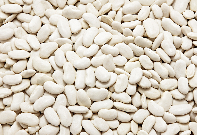 Gehiny Export Company