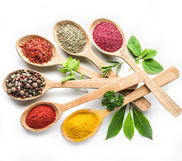 Gehiny Export Company