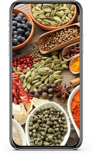 Gehiny Export Company