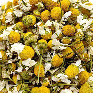 Gehiy Export Company