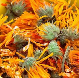 Gehiy Export Company